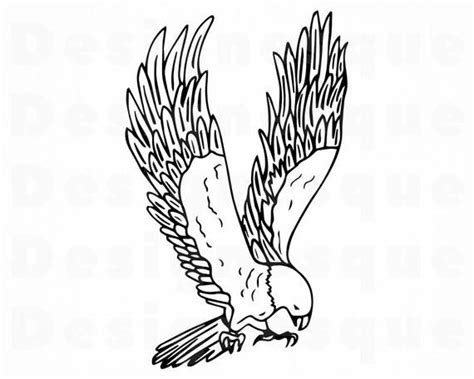 Flying Eagle Outline 3 Svg Eagle Svg Eagle Clipart Eagle Etsy In 2020