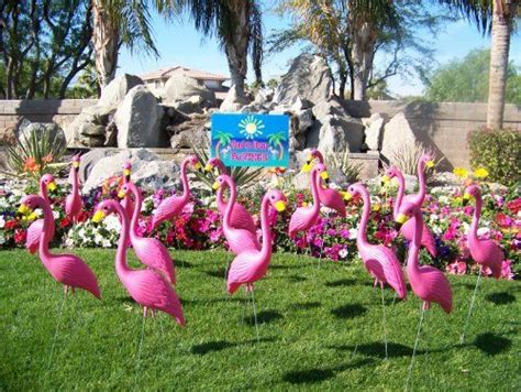 6 Pink Flamingo Lawn Ornaments And A Youve Been Flocked Yard Sign