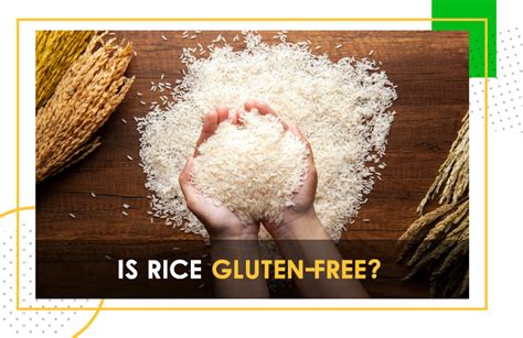 Is Rice Gluten Free Tfc Agro