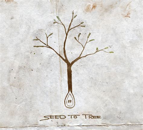 The Sound Of Confusion Seed To Tree Seed To Tree Ep