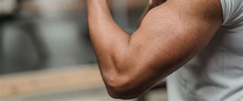 Bicep Oefeningen Beste Biceps Oefeningen Voor Biceps Trainen