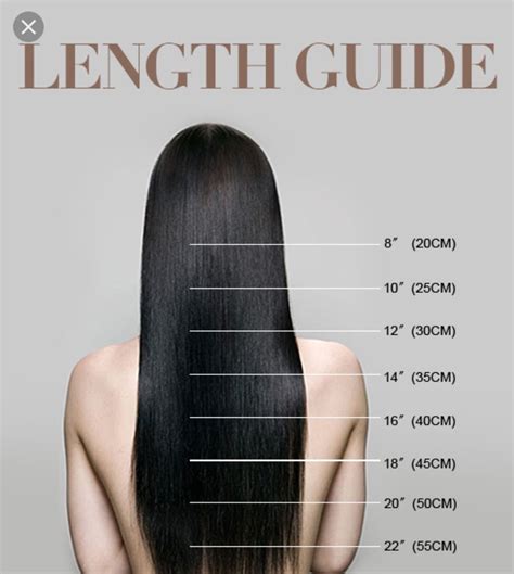 Hair Length Guide Hair Length Chart Haircuts For Medium Hair