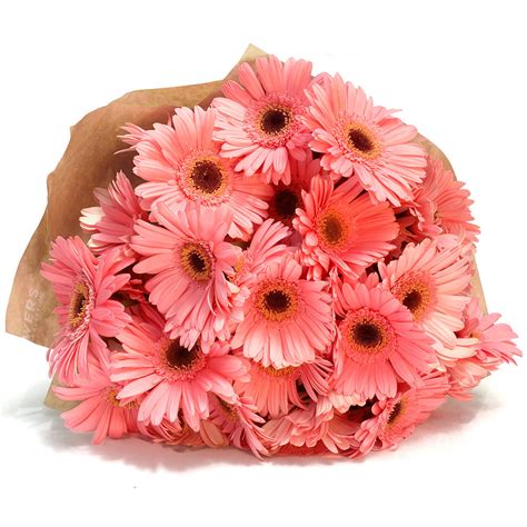 Mixed Gerberas Flower Bouquet Cape Town And Surrounds Delivery