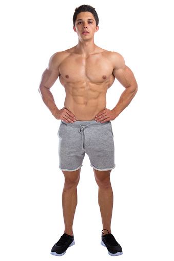 The torso muscles attach to the skeletal core of the trunk, and depending on their location are divided into two large groups the final muscle in the abdominal area of the anterior trunk is the transversus abdominis muscle. Bodybuilder Bodybuilding Muscles Standing Whole Body Portrait Strong Stock Photo - Download ...