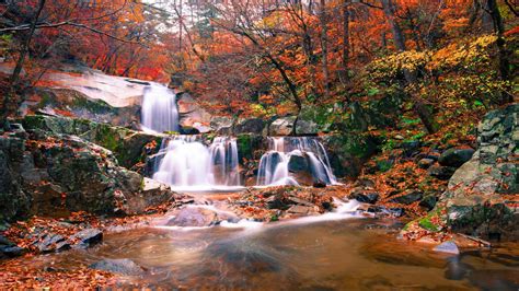 Waterfalls On Rocks Between Orange Yellow Leafed Trees Forest