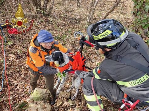 Cane Precipita In Un Pozzo Salvato Da 115 Con Tecniche Speleo Alpine Primonumero