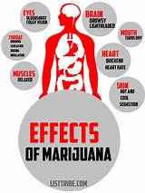 Physical Effects Of Marijuana On The Body Photos