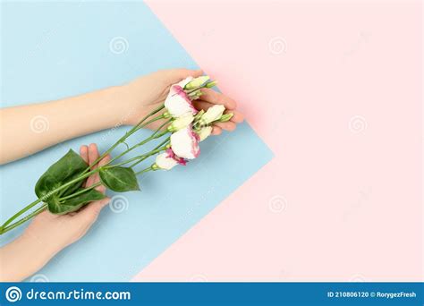 Female Hands Hold Bouquet Of Eustoma Flowers Stock Photo Image Of