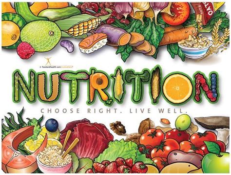 Macgill Nutrition Poster Nutrition And Fitness Posters And Educational Material Education