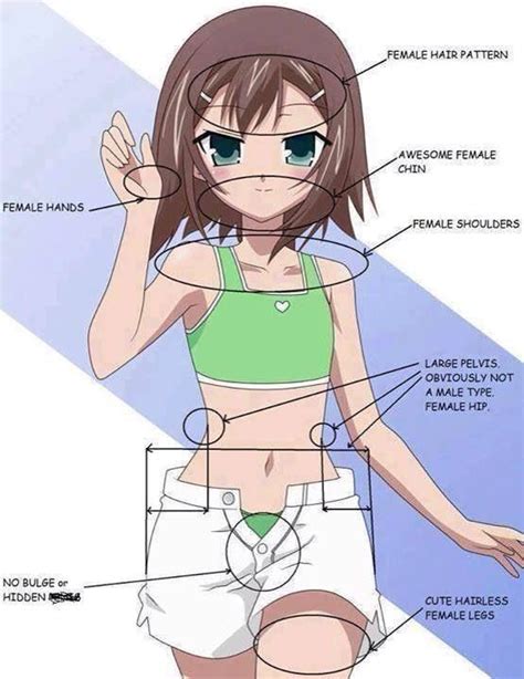 anime girls with bulge howtoorganizeyourclosetstorage