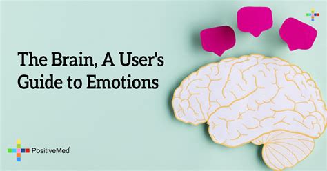 The Brain A Users Guide To Emotions Begin