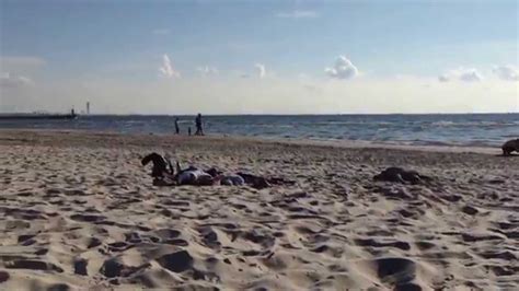 Lomma Beach Sweden Youtube