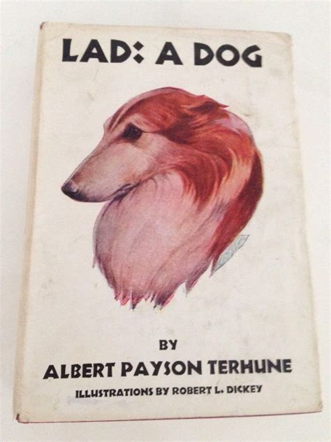 Lad A Dog 1948 Book Albert Payson Terhune Vintage Rare Etsy Dog