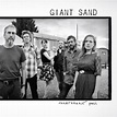 Giant Sand. Il nuovo album e il tour italiano - Notizie - SENTIREASCOLTARE