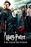 Harry Potter y el cáliz de fuego (2005) - Pósteres — The Movie Database ...