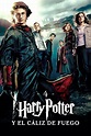 Harry Potter y el cáliz de fuego (2005) - Pósteres — The Movie Database ...