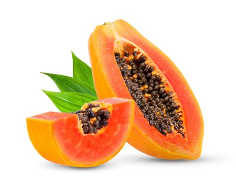 Papaya Red Lady 1 Kg Level Five