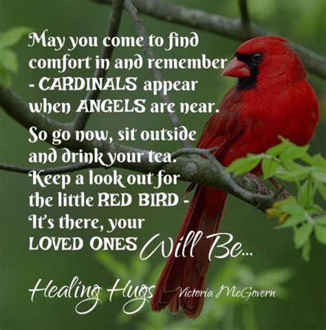 Red Cardinals And Loved Ones Grief Quotes Healing Hugs Sayings
