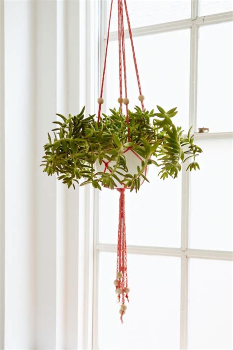 25 Diy Hanging Plant Holder Ideas You Should Definitely Try Out Best