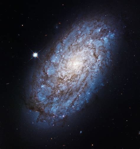 Meet ngc 2608, a barred spiral galaxy about 93 million light years away, in the constellation cancer. Flocculent spiral galaxy - Wikipedia
