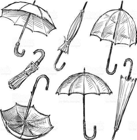 vector drawing of a different umbrellas umbrella art umbrella drawing umbrella
