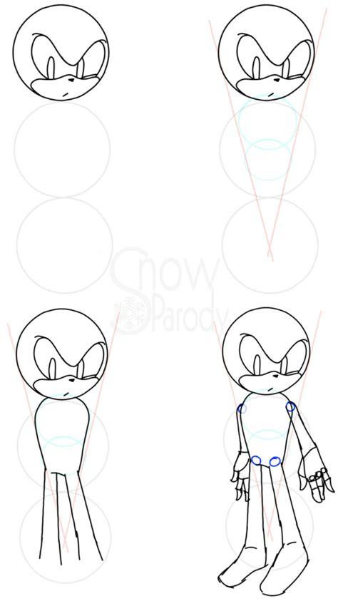 Sonic Anatomy Tutorial By Snowparody On Deviantart