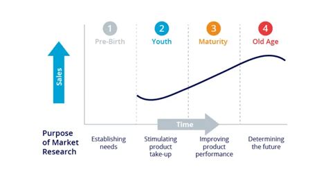 Using Market Research For Product Development B2b International