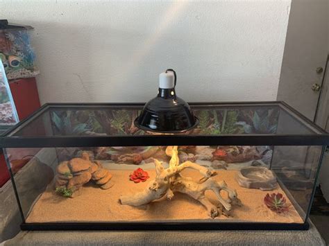 Terrarium Reptile Tank 30 Gallon For Sale In Rialto Ca Offerup