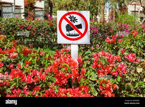 Signs In The Park Does Not Pick Flowers Stock Photo Alamy