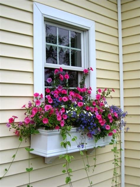 You to plant flowers, vegetables, herbs. 30 Best Flowers Plant for Window Boxes 2019 | Window box ...