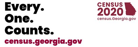 Census 2020 Summerville Georgia