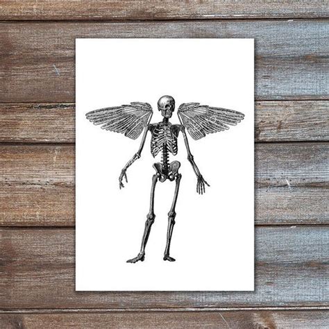 Wall Art Skeleton With Wings Angel Wings Wall Decor Human Skeleton