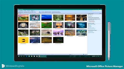 Picture Manager Microsoft