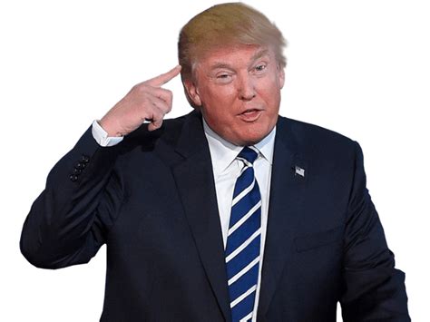 Donald Trump Png Transparent Image Download Size 624x468px
