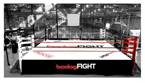 Professional Elevated Boxing Ring Progear