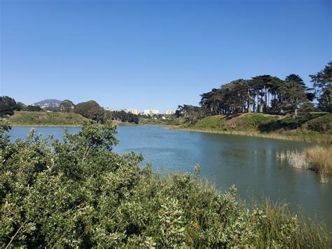 Lake Merced Park San Francisco Ca Top Brunch Spots