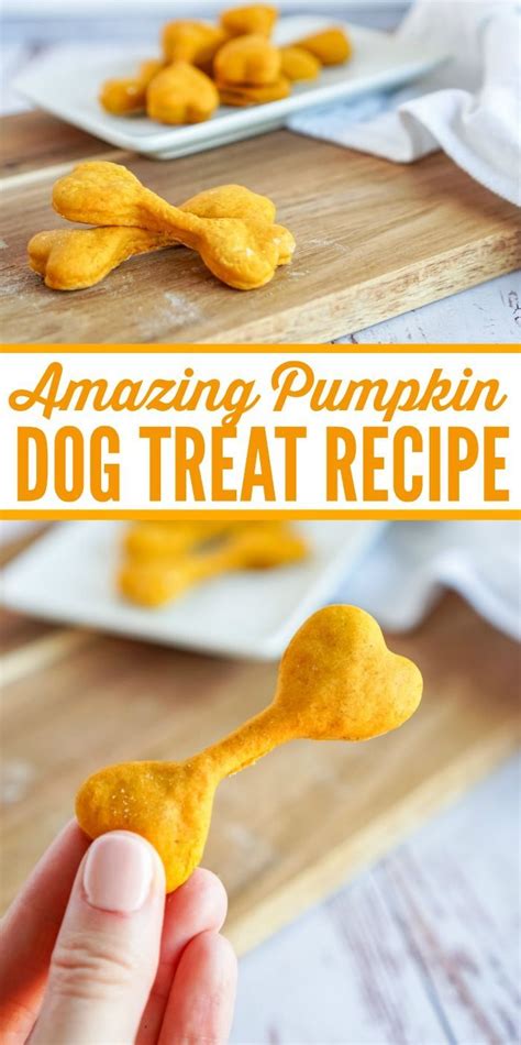 Easy Homemade Pumpkin Dog Treats Lemon Peony Dog Treat Recipes