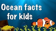 Facts about the Ocean for kids - YouTube