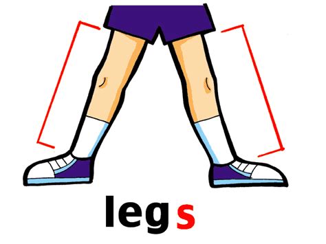 Leg Clipart Free Download On Clipartmag