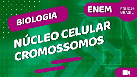 Biologia N Cleo Celular Cromossomos Enem Youtube