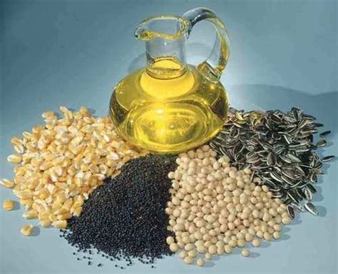 Oil Seeds At Best Price In Arni Tamil Nadu Amazing Exports