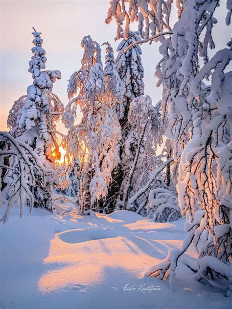 🇫🇮 Winter Sunset Finland By Asko Kuittinen ️🌅 Winter Sunset Winter