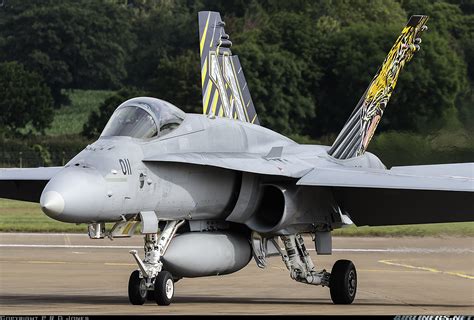 Mcdonnell Douglas Fa 18c Hornet Switzerland Air Force Aviation