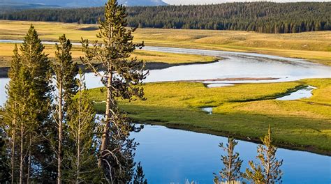 15 Closest Hotels To Yellowstone Lake In Yellowstone National Park