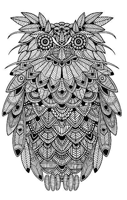 Zentangle Owl Owl Coloring Pages Coloring Pages Owl