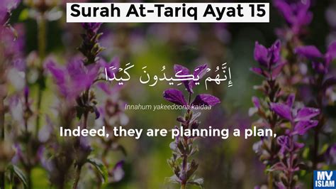 Surah Tariq Ayat 15 8615 Quran With Tafsir My Islam