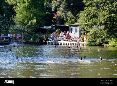Swimmers At The Mixed Bathing Pond On Hampstead Heath London Stock Photo Alamy