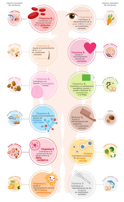 Beneficios De Las Vitaminas En El Cuerpo Humano Infografía