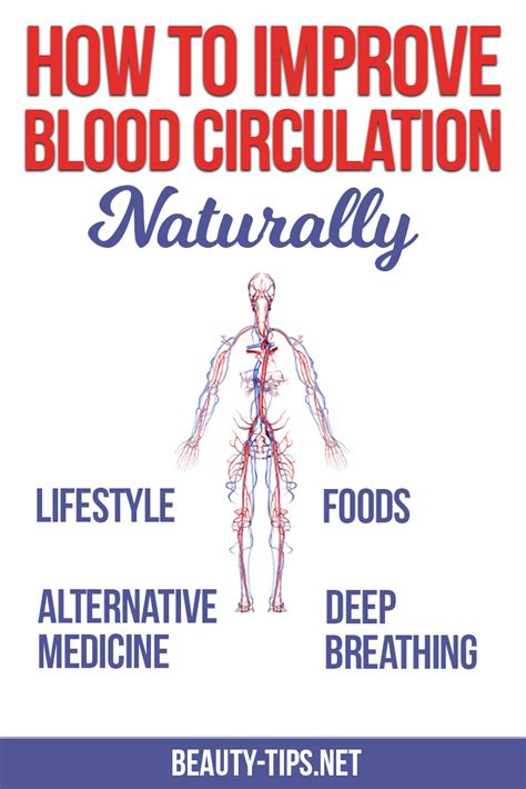 How To Improve Blood Circulation Naturally For Health Benefits