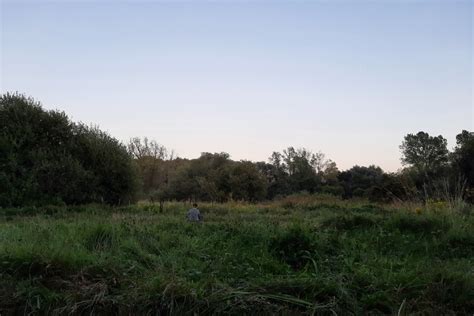 Norfolk And Waveney Mind Nature Connect